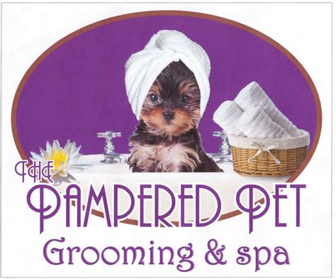 179 reviews of Pampered Pet Grooming & Spa "I was really impressed with this place, especially because it's in Tracy. This is something you …
